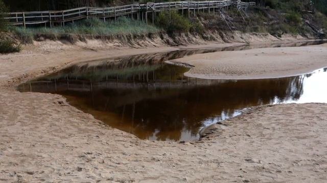 Белая дюна  Пабажи  Саулкрасты  Латвия