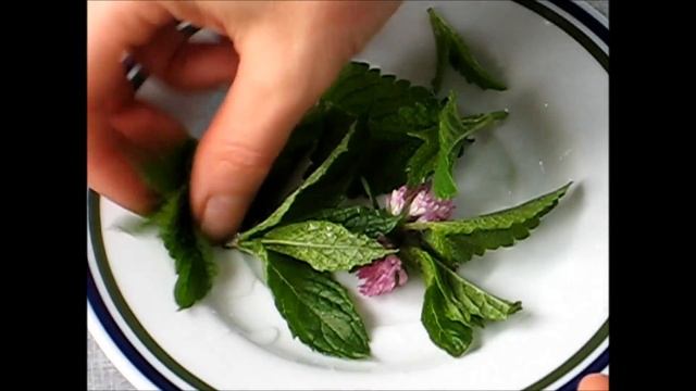 Ягодный суп с мятой, мелиссой и клевером