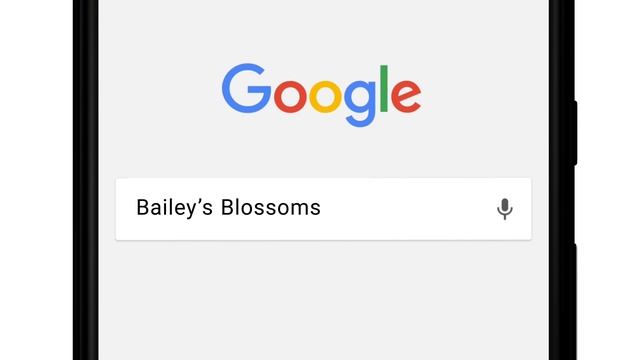 Google Instant Apps for Shopify Store | E-commerce Instant Apps | Plobal Apps