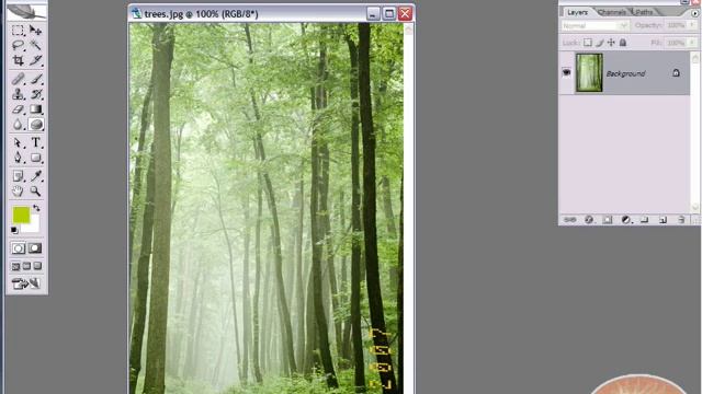 Photoshop Tutorial: Remove a Timestamp from a Photo!