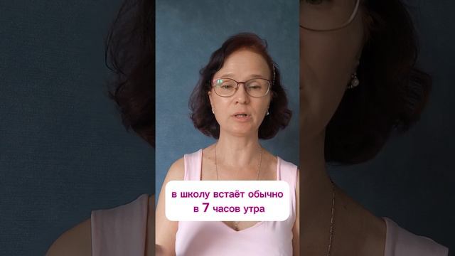 Снова в школу