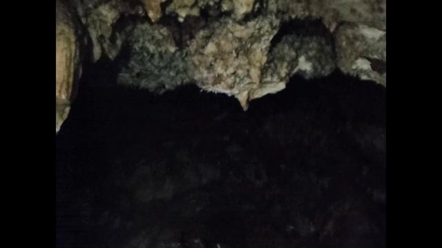 ВЛОГ | Экскурсия с классом. Поход в пещеру, музей и яблоневую рощу.