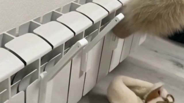 NETFNET Сушилка на батарею4.910 47375 тыс.