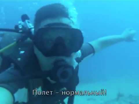Едят ли рыбы бананы? Доминиканская республика: дайвинг
