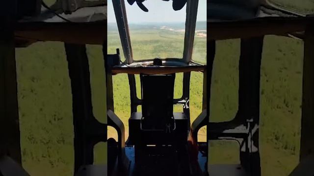 🇷🇺Три пассажира и пилот погибли: в Амурской области нашли разбившийся вертолет Robinson R-66.