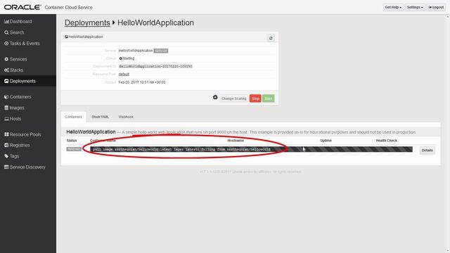 Run a Docker Container in Three Easy Steps with Oracle Container Cloud Service