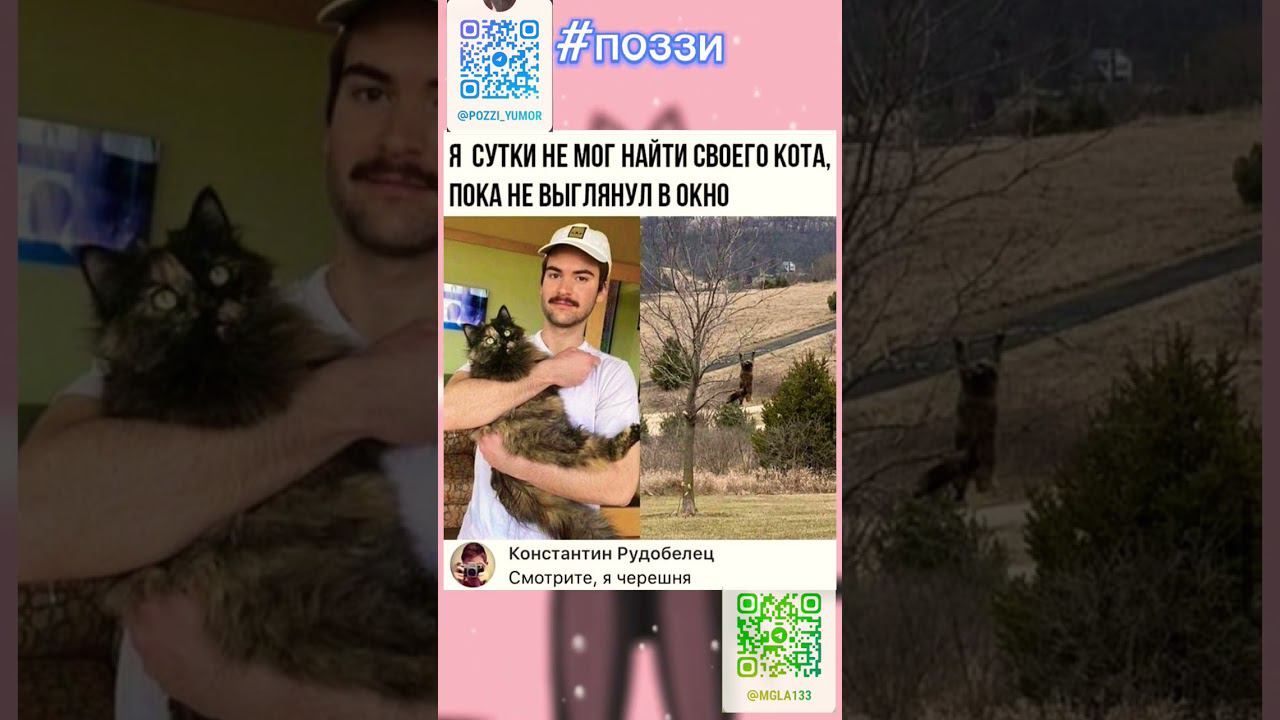 @МГЛА-к2р  Добрый день☀ добра и позитива #позитив #поззи #юмор #прикол