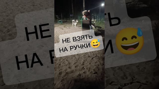 Ума - маленький мальчик 😅