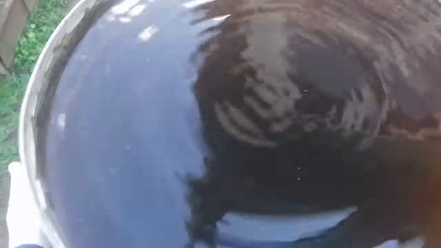 Когда на даче скучно.