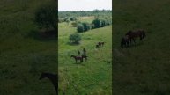 Ленинградская область п.Тайцы +7 (962) 714-58-93