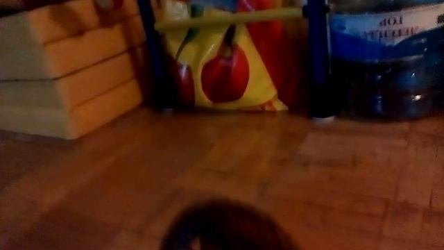 Кувыркаемся