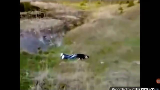 Кинул палку и сдох
