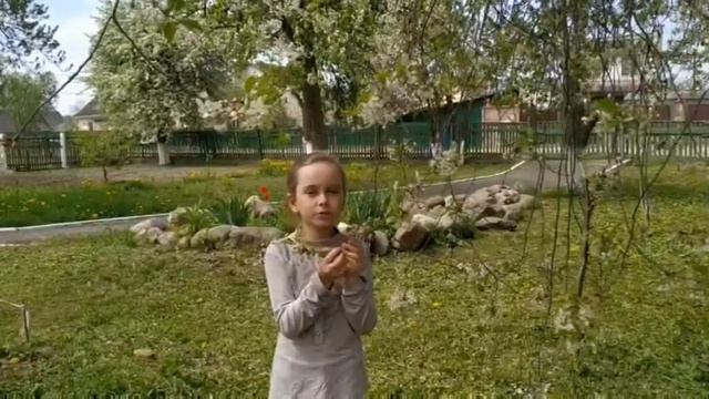 стихотворение "Майский сад" автор Светлана Пороховник