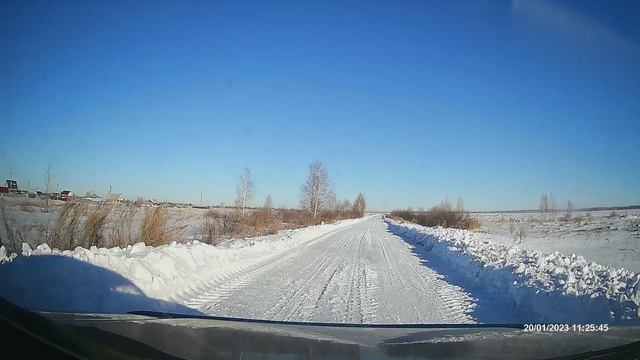 Косули перебираются ближе к людям. Вёрсты Зауралья.