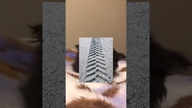 ЧТО БУДЕТ, ЕСЛИ МНОГО ЧИТАТЬ