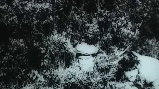 Совість (1968)