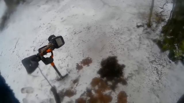 В лес за монетами! Впервые поднял два рубля!