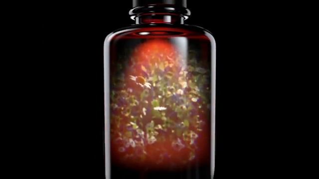 Apivita Shampoo