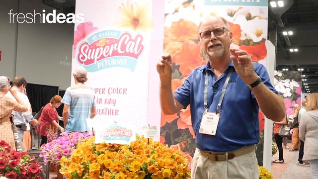 Heat-Tolerant SuperCal Series Perfect for Fall Sales