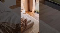 СОВРЕМЕННЫЙ ДИЗАЙН СПАЛЬНИ