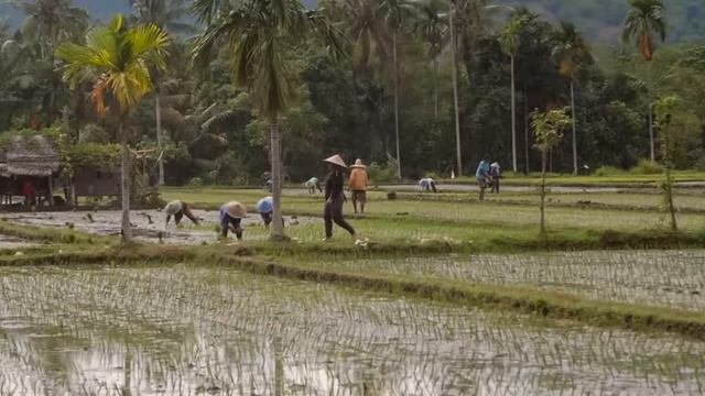 Kumpulan Lagu Minang Bikin Nangis