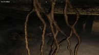 Tomin pelinurkka: The Elder Scrolls V: Skyrim osa387:Seikkailua osa 104