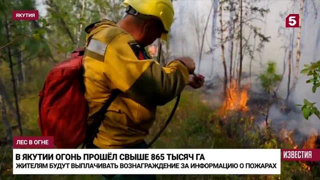 Пятый канал_ О борьбе с лесными пожарами в Якутии