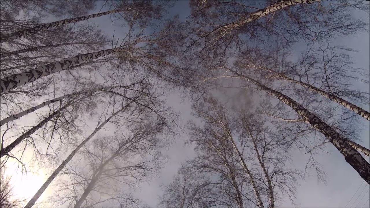 Песня-экспромт 