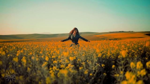 Summer Never Ends - Smile Like A Ray Of Sunshine