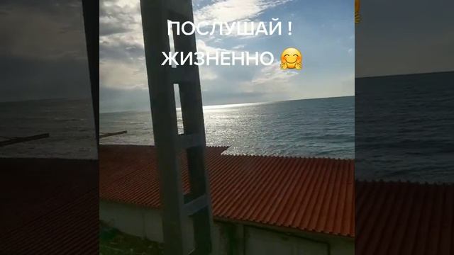 Жизненно!