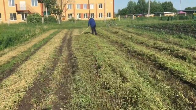 Сенокос 2020 | Жизнь в деревне | Ворошу сено | Песня Тударак Сюдарак | Авыл тормышы | Печэн кабарта