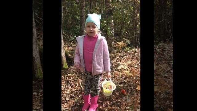 Проект Софии Свиридовой Суп из экологически чистых грибов