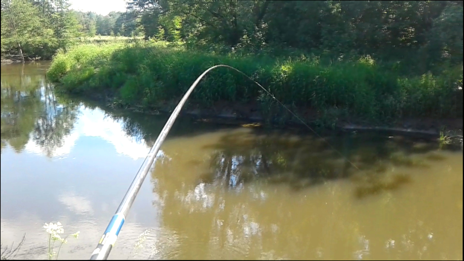 Рыбалка 7 июня на малой реке на поплавок и снова отличный улов!
