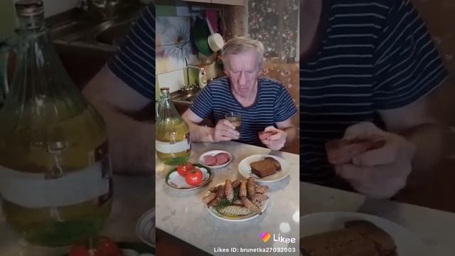 водка делу а шишки белке логика