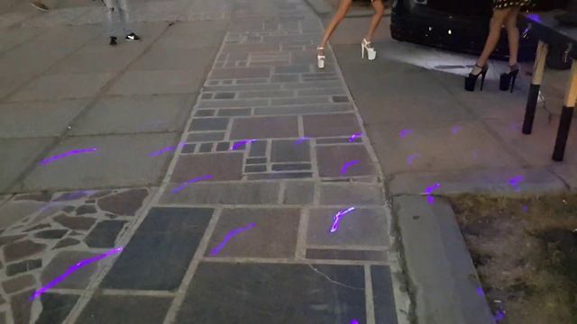 Питон День города 2014
