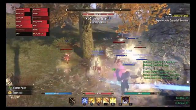 ESO Complex Simplicity PvP montage #3