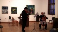 Anton Sorokow & Stefan Kropfitsch Haendel - Halvorsen Passacaglia