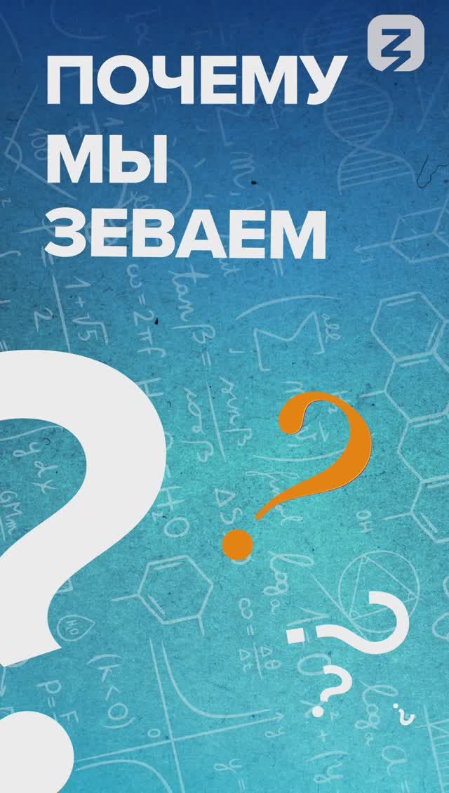 Почему мы зеваем?