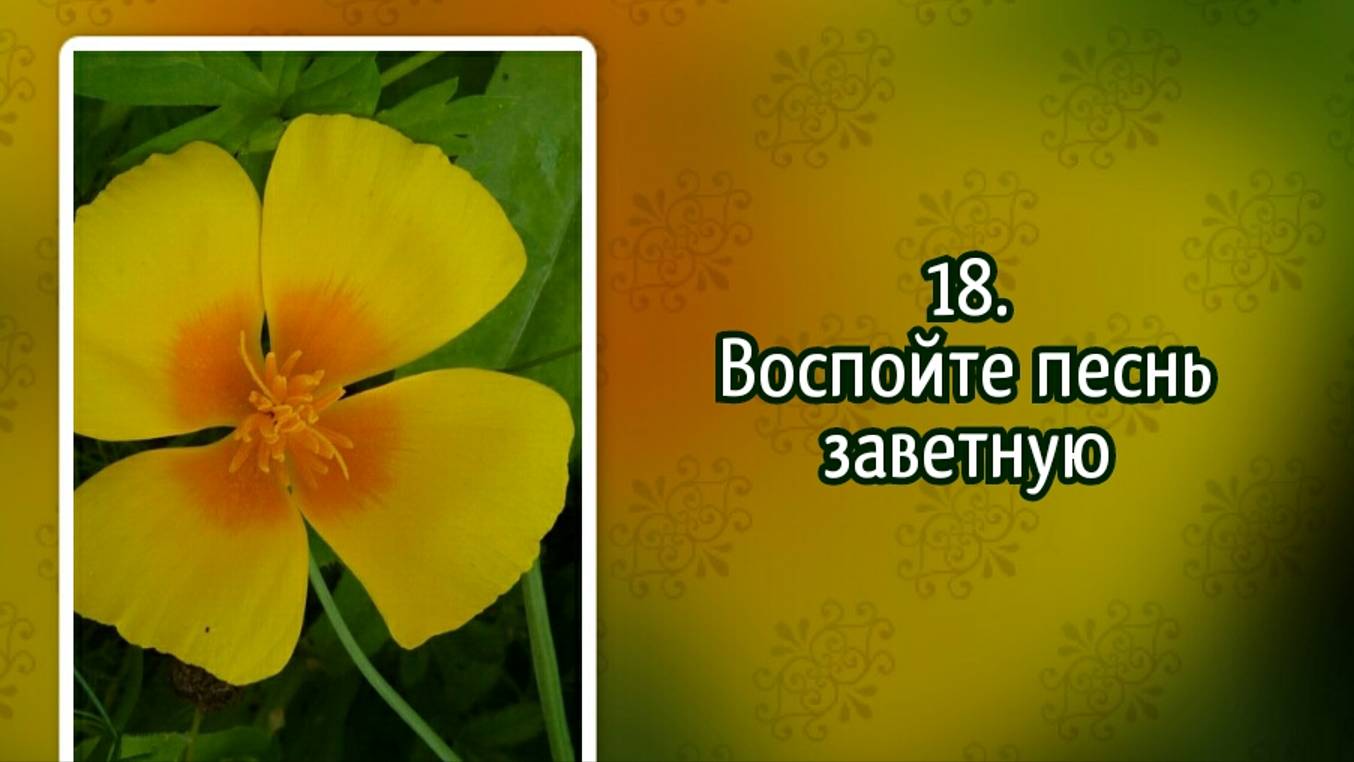 Гимны надежды 18 Воспойте песнь заветную (-)