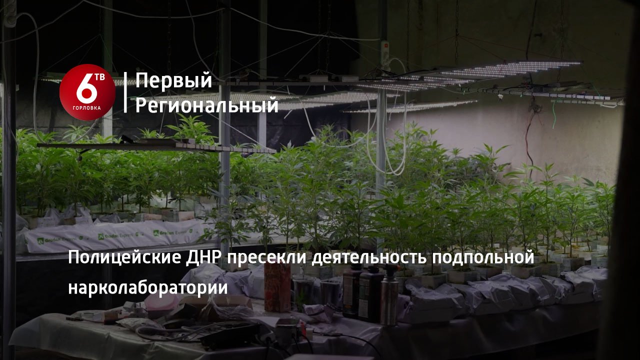 Полицейские ДНР пресекли деятельность подпольной нарколаборатории