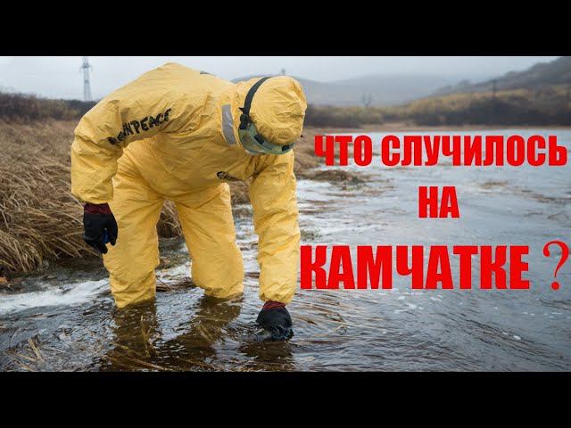 Что произошло на Камчатке? Каковы причины гибели морских обитателей?