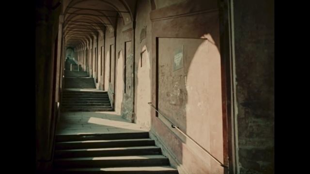 Stefano Accorsi | Patrimonio Mondiale dell'Umanità