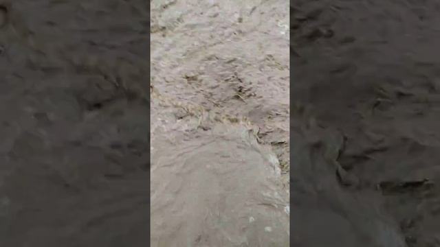 Минская областьВоложинский районРаковский ccд.Ратынцы или Венеция!!!!!!