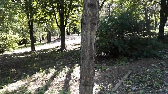 Белочка в парке Собино
