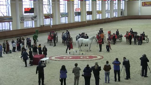 Чествование  орловского рысака Вупраса в НКП «Русь»