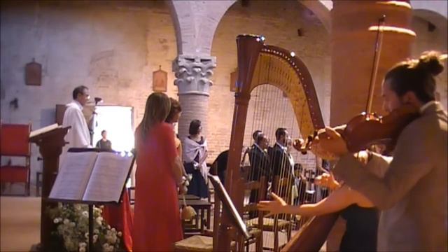 Marcia nuziale di Wagner, arpa e violino - ingresso sposa - Musica Matrimonio
