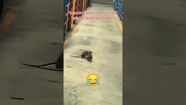 ????