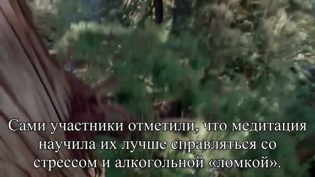 Главные причины практиковать медитацию   Статья
