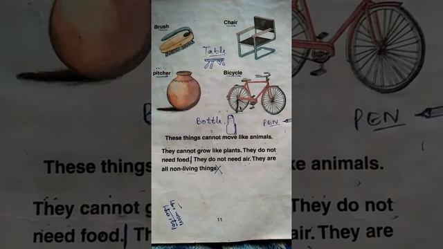 Non living things. Class 1st Env science
