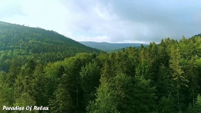 Музыка для души ? Нежная лечебная музыка здоровья и для успокоения нервной системы